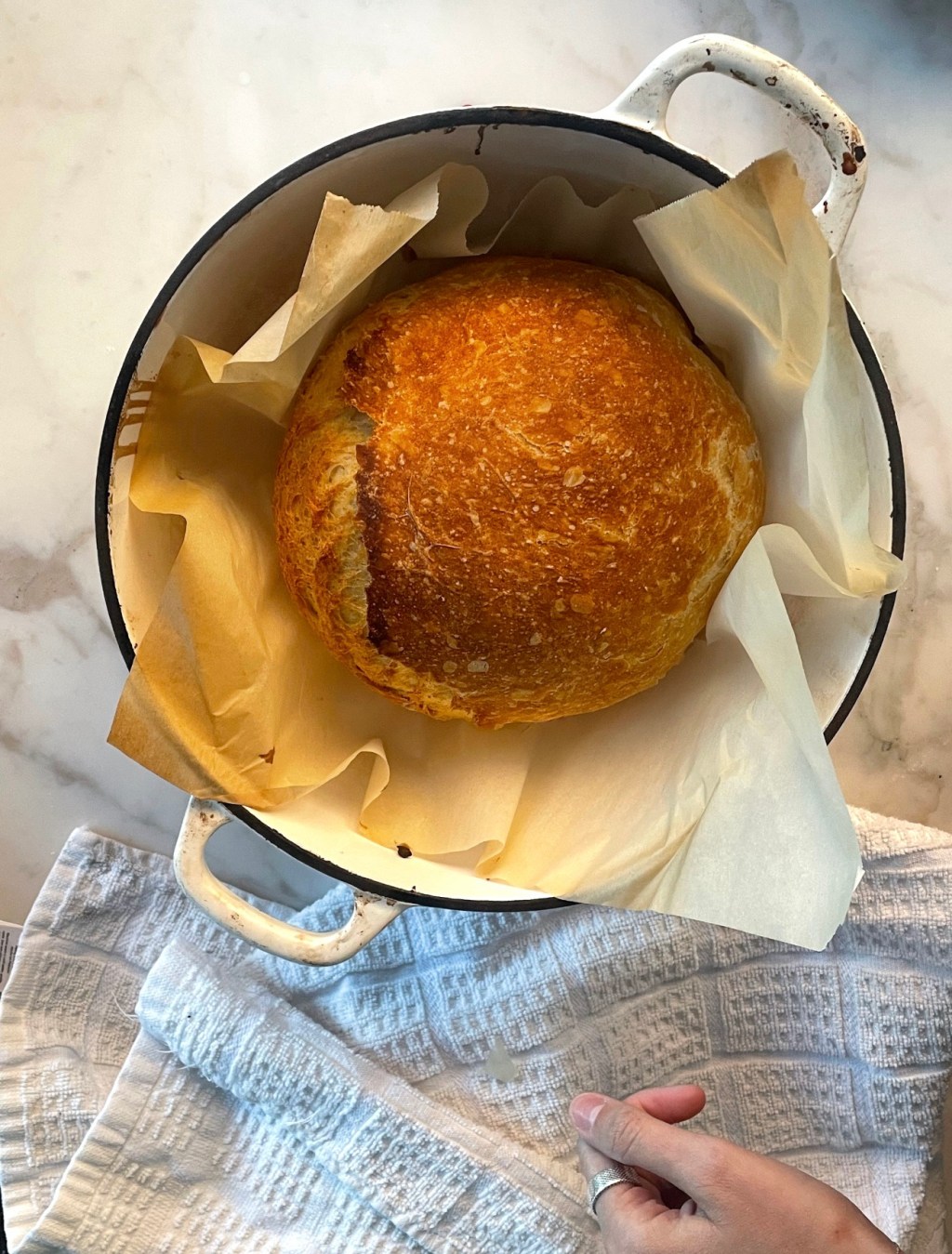 Foolproof Artisan No-Knead Bread Recipe